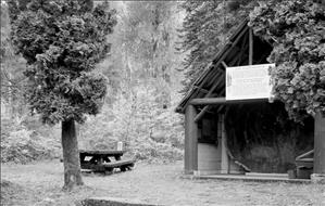 A simple wooden shelter with a giant section of log inside. Outside the shelter are trees and a picnic shelter. 
